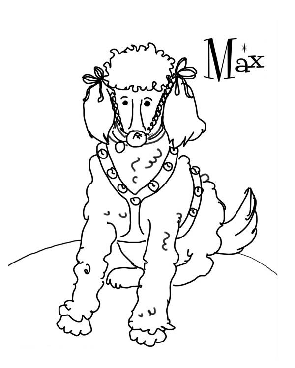 600x750 Meet Max, My Lovely Dog Coloring Page