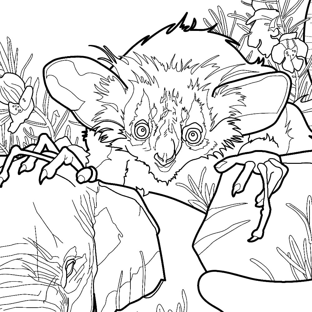 1000x1000 E Is For Endangered