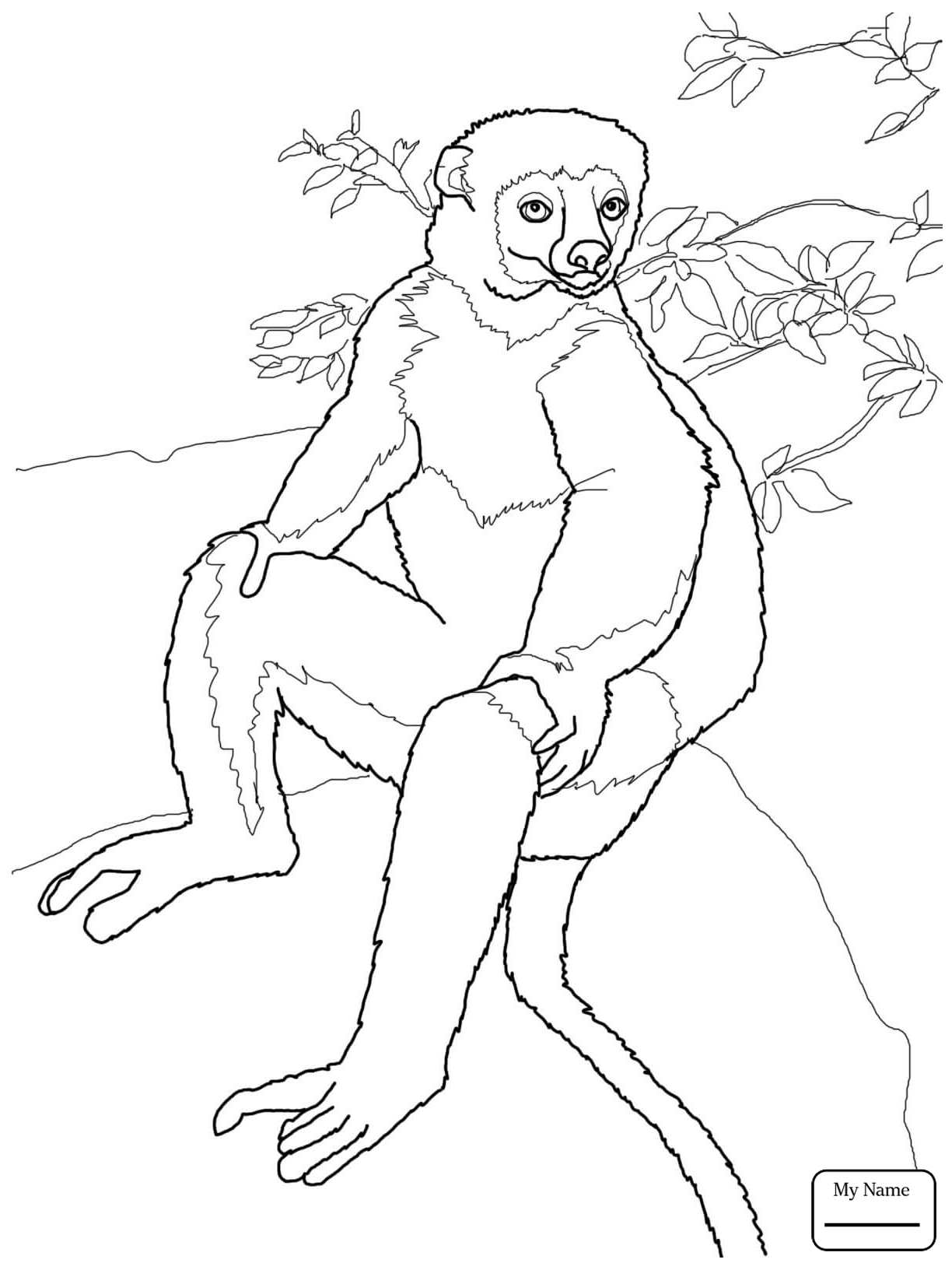 1224x1632 Unique Lemur Page To Color Collection Printable Coloring Sheet