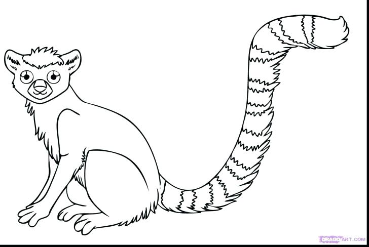 728x488 Lemur Coloring Page
