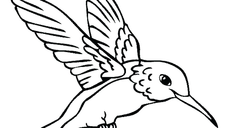 960x544 Cardinal Bird Of Coloring Page Free Coloring Pages Free Coloring
