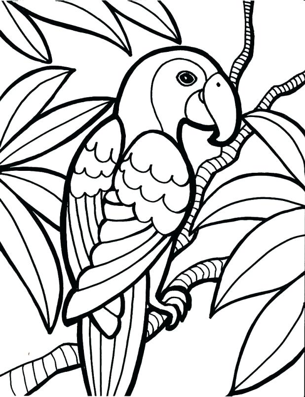618x804 Cardinal Coloring Pages Bird Coloring Pages Drawings Picture
