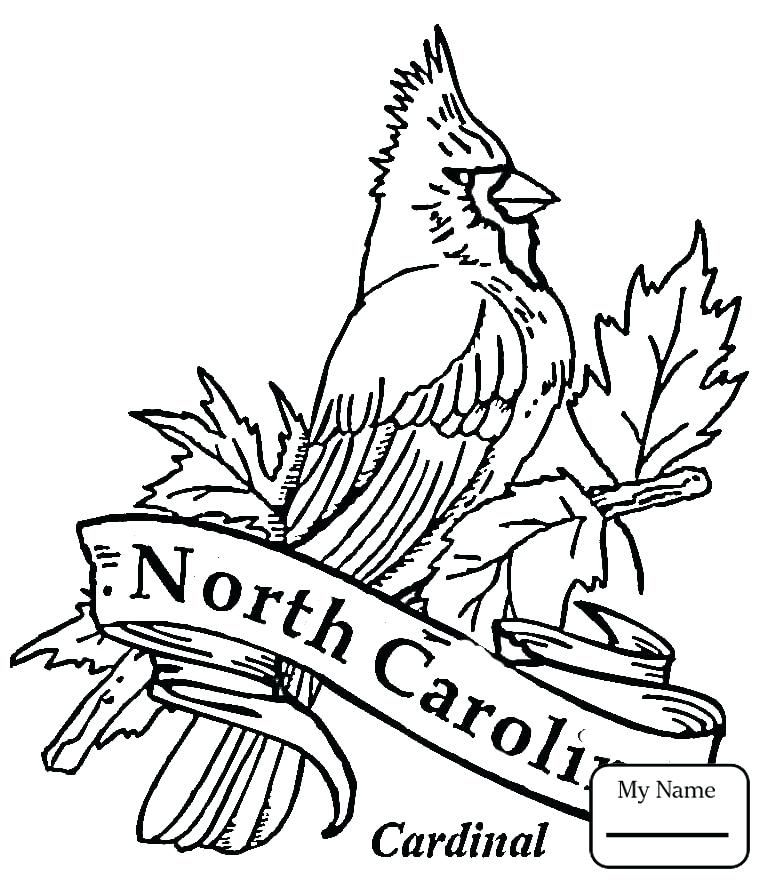 765x885 Cardinal Coloring Pages Cardinal Coloring Page With Wallpapers
