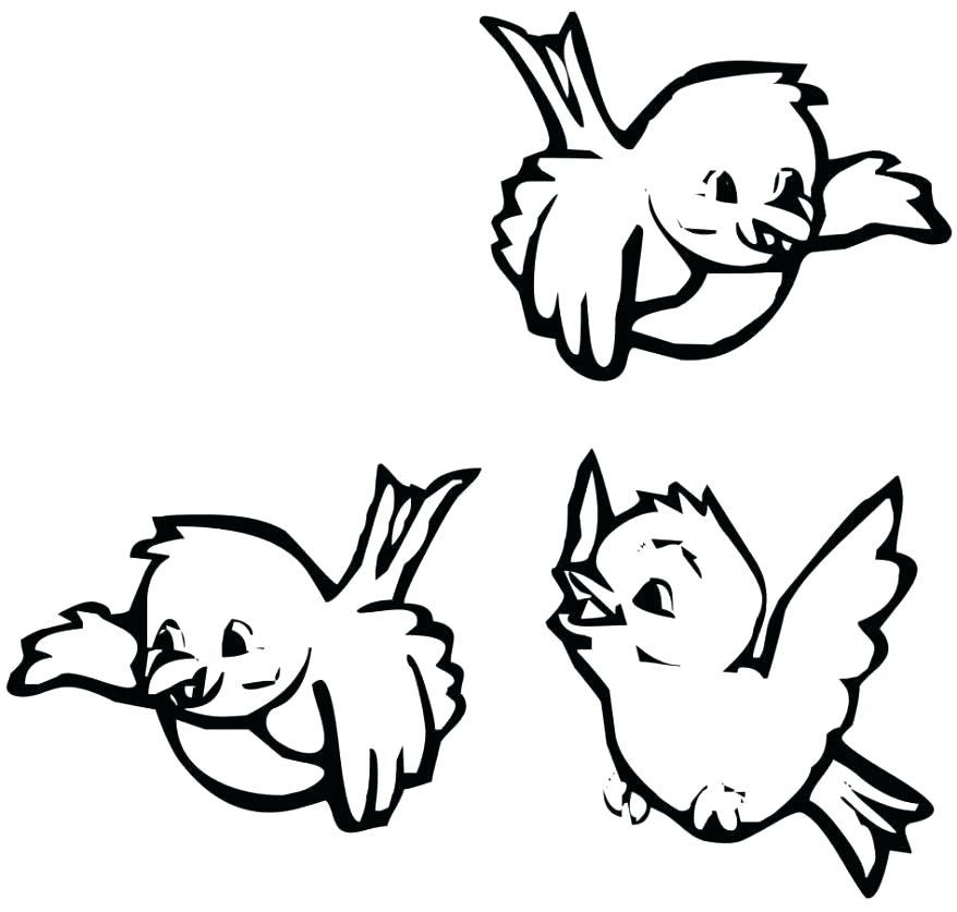 878x837 St Coloring Pages St Coloring Pages St Cardinals Coloring Pages St