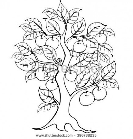436x455 Hands Drawing Apple Tree Anti Stress Stock V On Tree Just