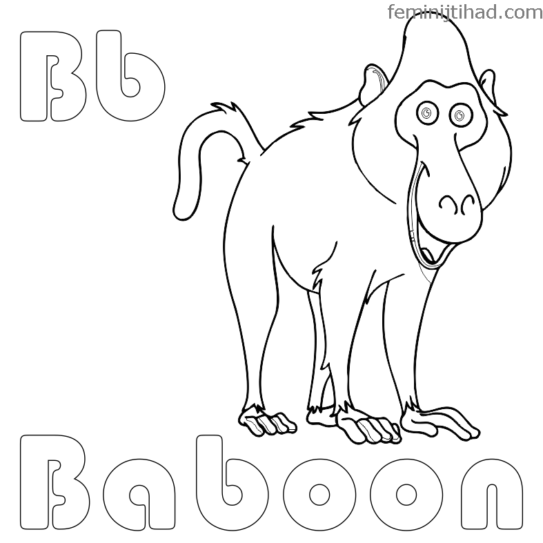 787x787 Baboon Coloring Pages Printable Coloring Pages For Kids