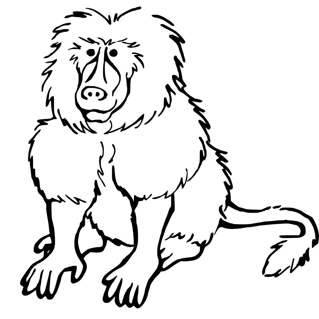 1024x1024 Baboon Coloring Page