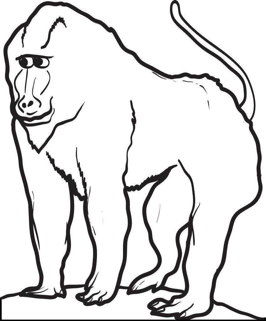 850x1024 Free, Printable Baboon Coloring Page For Kids Supplyme