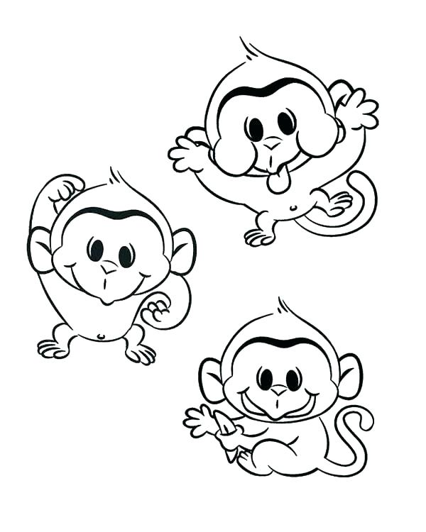 600x750 Spider Monkey Coloring Pages Baboon Baby A View All Coloring Pages
