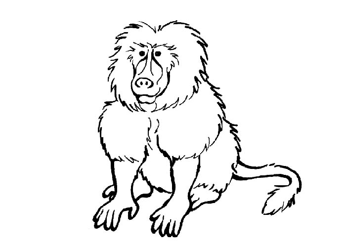 700x500 Coloring Pages