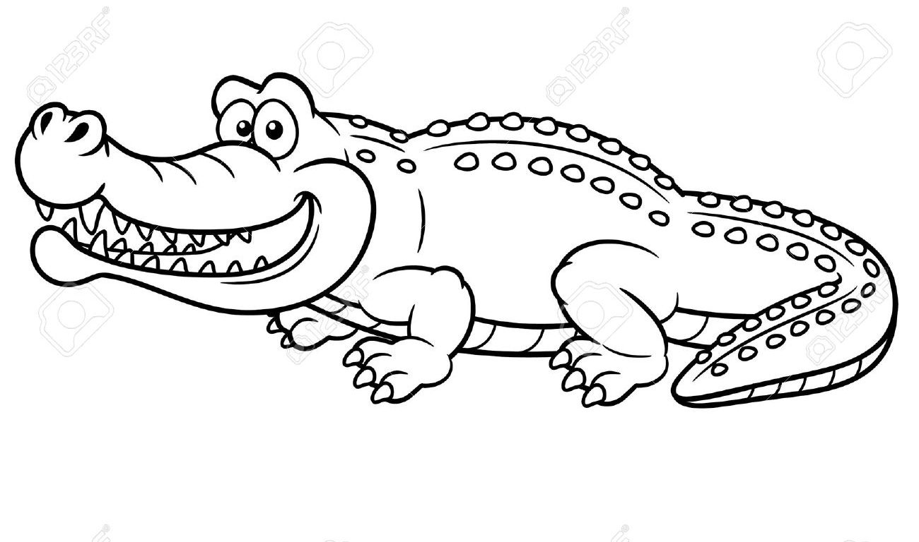 1300x768 Alligator Coloring Pages Cartoon Free For Preschool Printable Kids