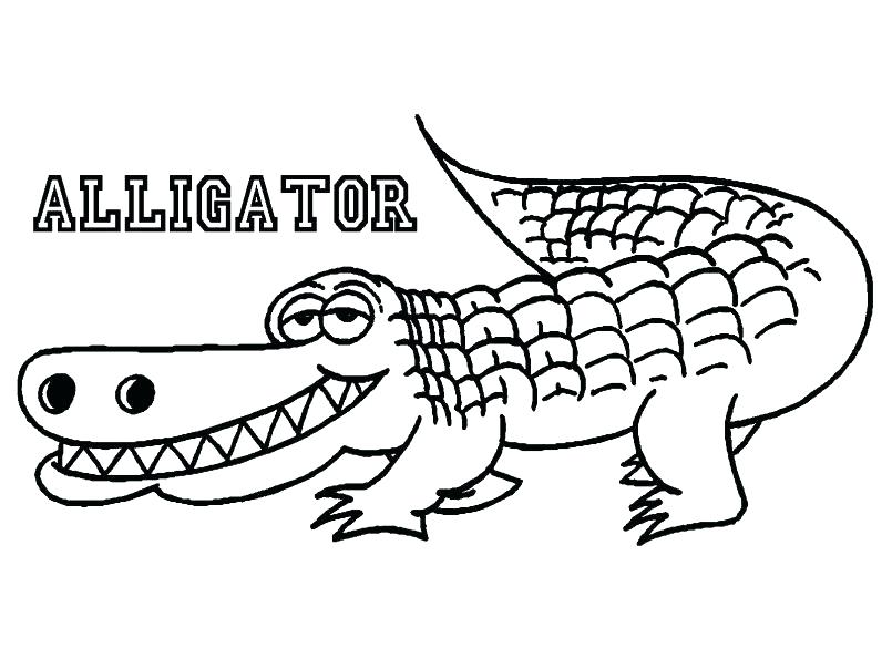 805x604 How To Color Alligator Coloring Pages On Coloring Page Alligator