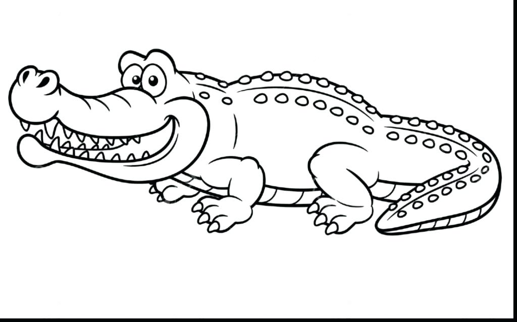 1024x639 Alligator Coloring Page Alligator Coloring Pages Alligator