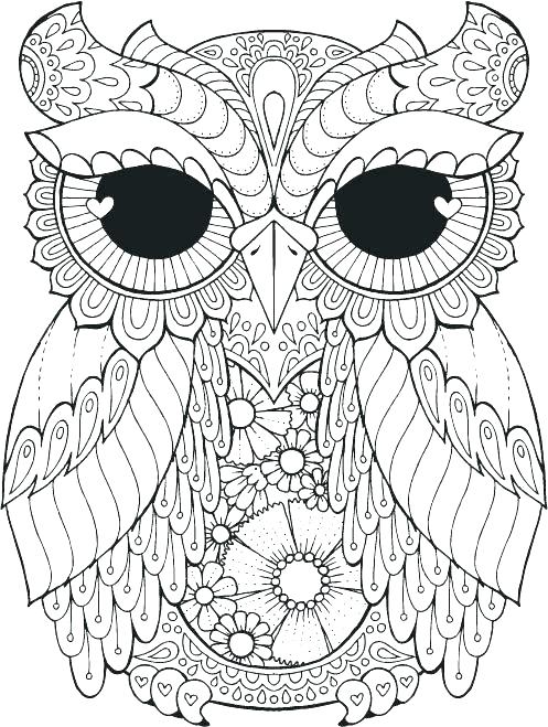 497x659 Coloring Pages Of Owls Good Owls Coloring Pages Or Coloring Pages