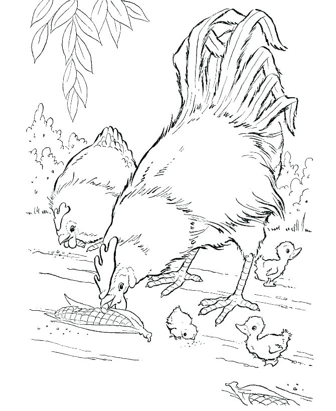 670x820 Baby Animal Coloring Pages To Print Cute Baby Animal Coloring