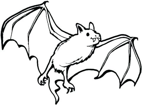 480x355 Bat Coloring Pages Vampire Bat Coloring Page Cute Baby Bat