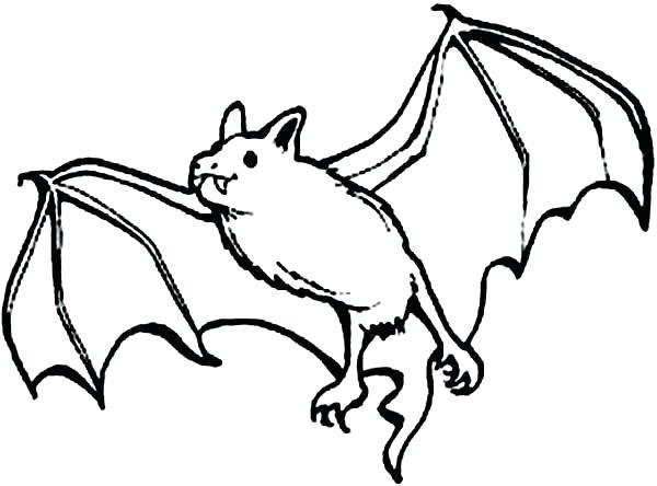 Baby Bat Coloring Pages at GetDrawings | Free download