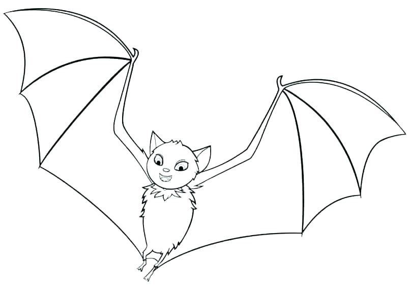 800x571 Bats Coloring Pages Bat Coloring Sheet Coloring Pages Bats