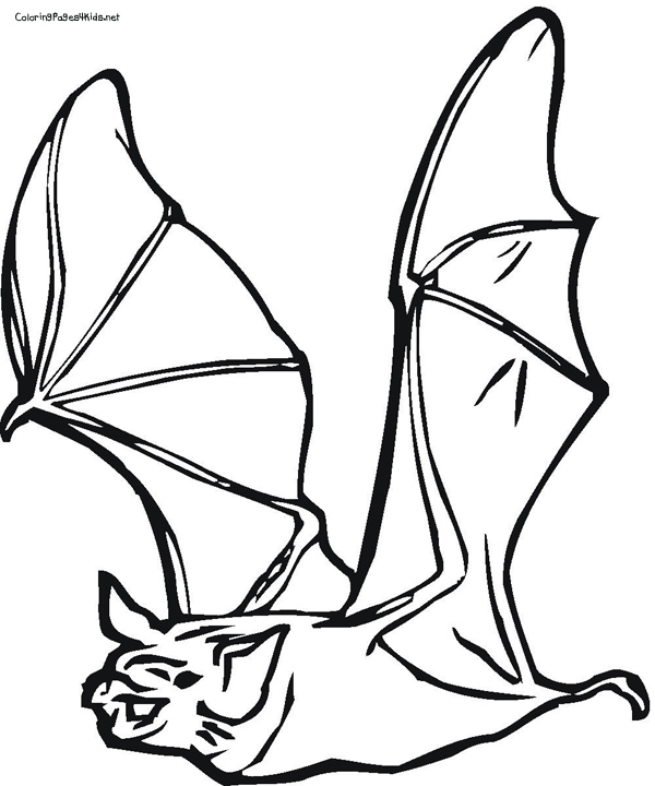 600x720 Bat Coloring Pages