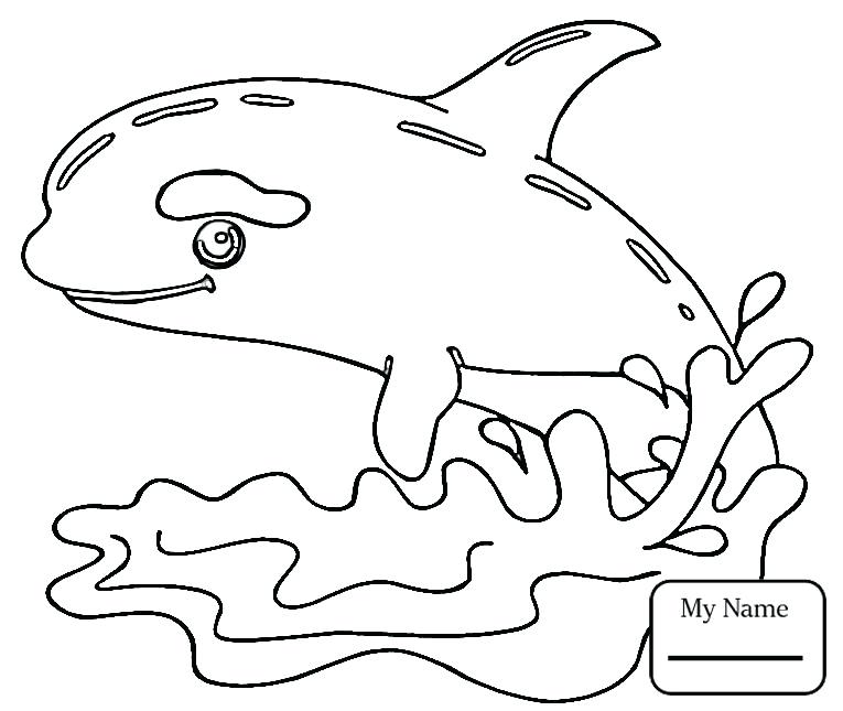 765x645 Orca Coloring Page Coloring Pages Killer Whale Mammals Killer