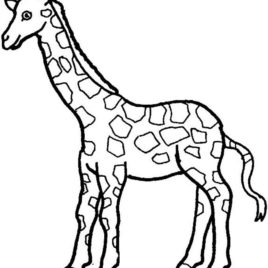 268x268 Baby Beluga Coloring Page Kids Drawing And Coloring Pages