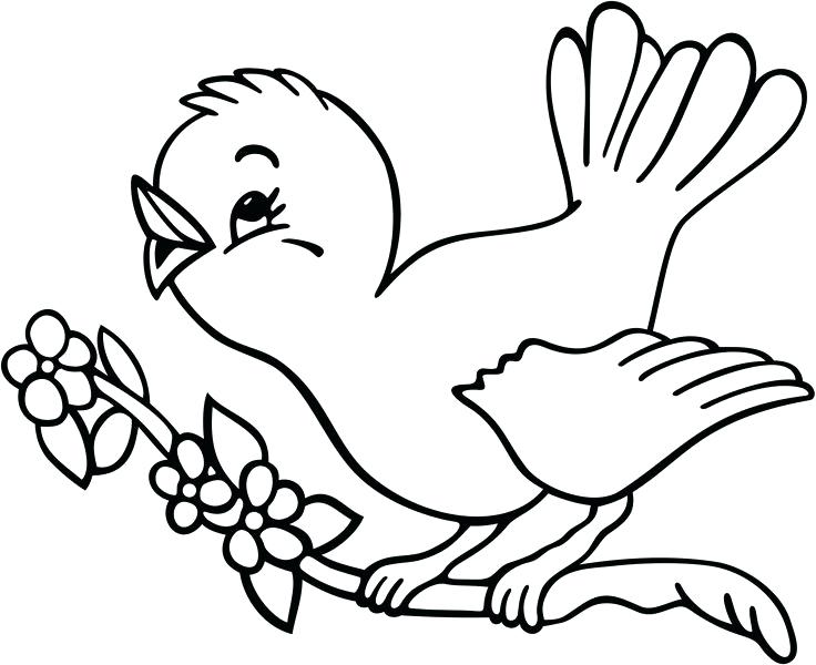 736x600 Bird Coloring Pages Baby Bird Coloring Pages Printable Coloring