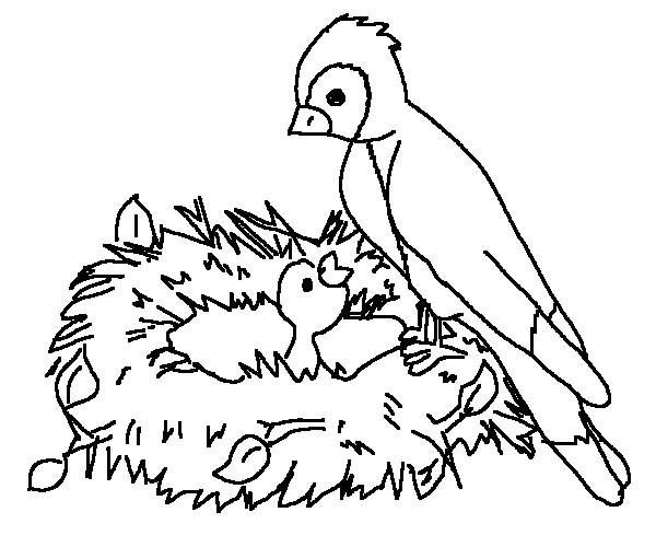 Baby Bird Coloring Pages at GetDrawings | Free download