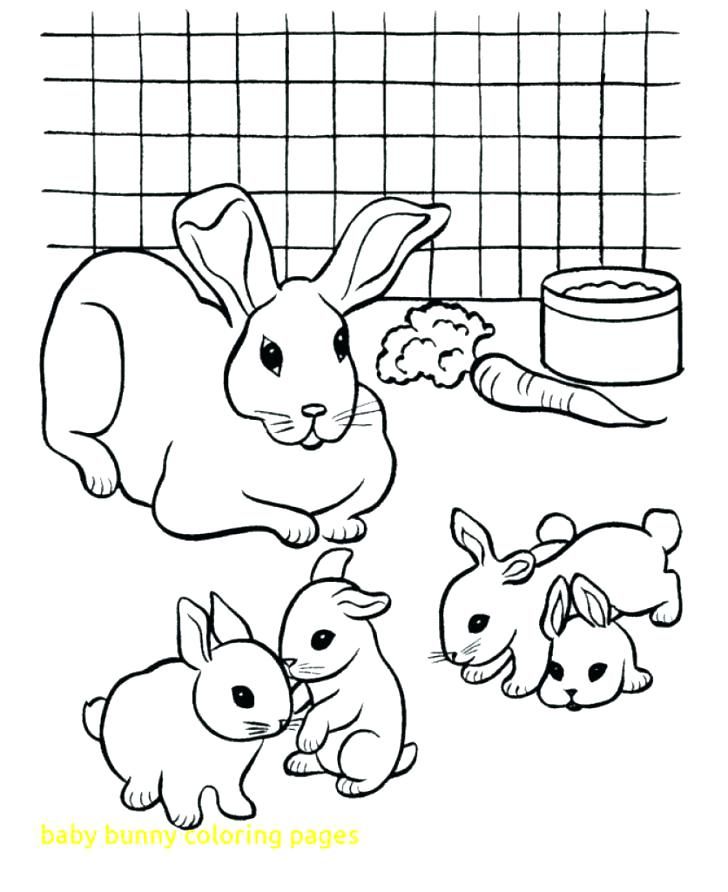 728x892 Baby Rabbit Coloring Pages Bunnies Coloring Pages Baby Bunny