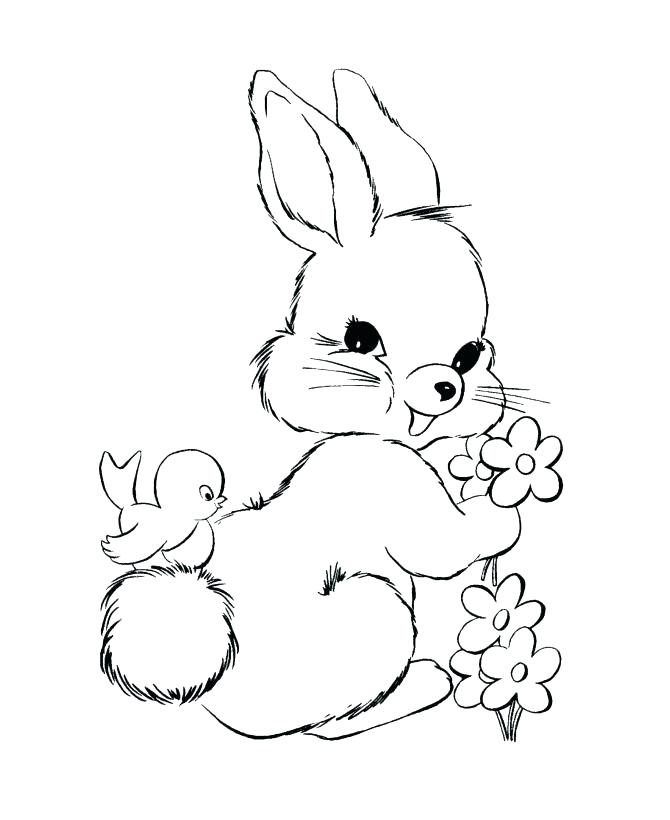670x820 Baby Rabbit Coloring Pages