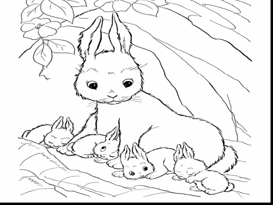 1126x844 Baby Bunny Coloring Pages