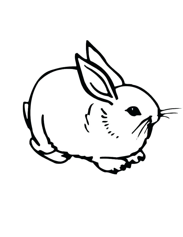 728x941 Baby Bunny Coloring Pages Bunnies Page Sheet