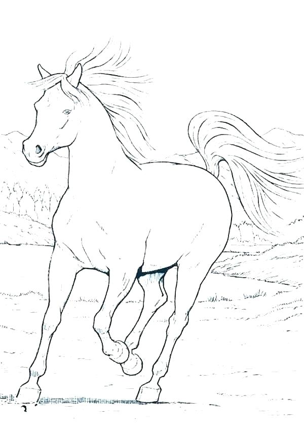 600x847 Coloring Horse Pages Horse And Carriage Coloring Pages Free Kids