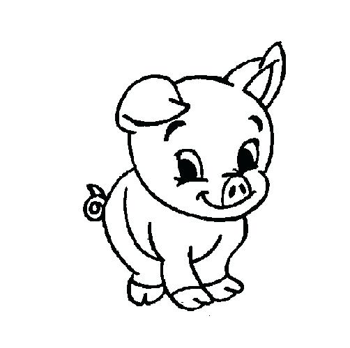 502x500 Baby Pig Coloring Pages Pig Color Page Baby Pig Coloring Pages