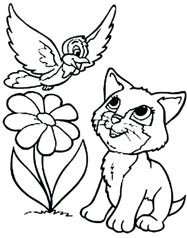 600x763 Cat Coloring Pages Cat Picture To Color Basketball Cute Baby Cat
