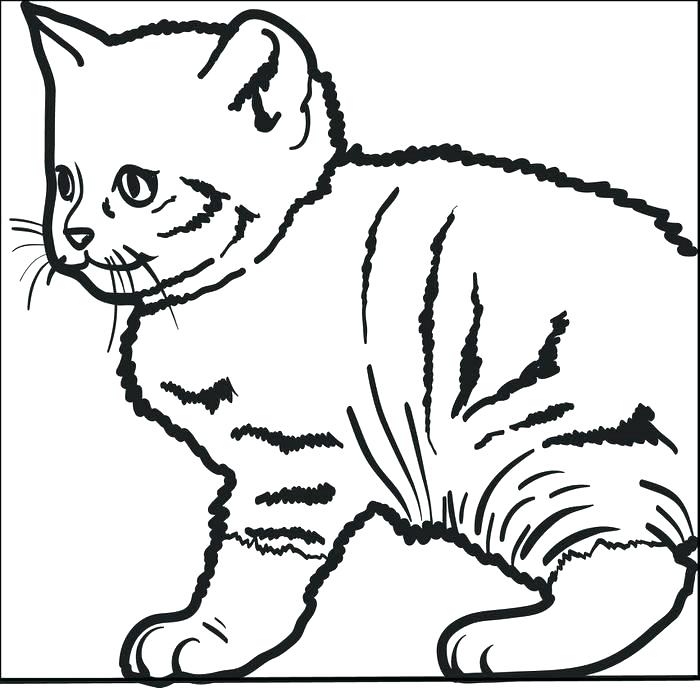 700x688 Cute Kitty Coloring Pages Big Cat Coloring Pages Cute Kitty Cat