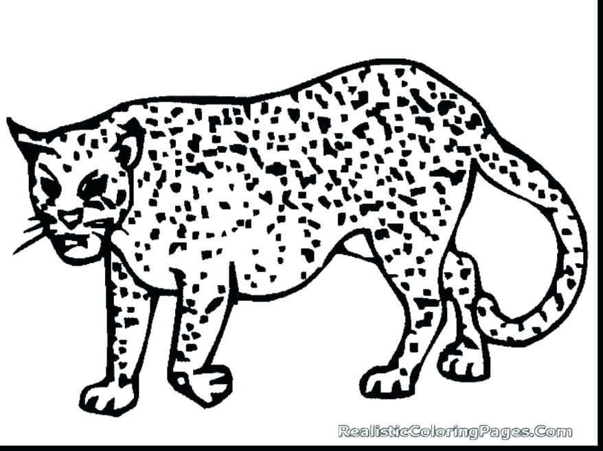 878x658 Cheetah Colouring Pages For Coloring Pages Printable Cheetah