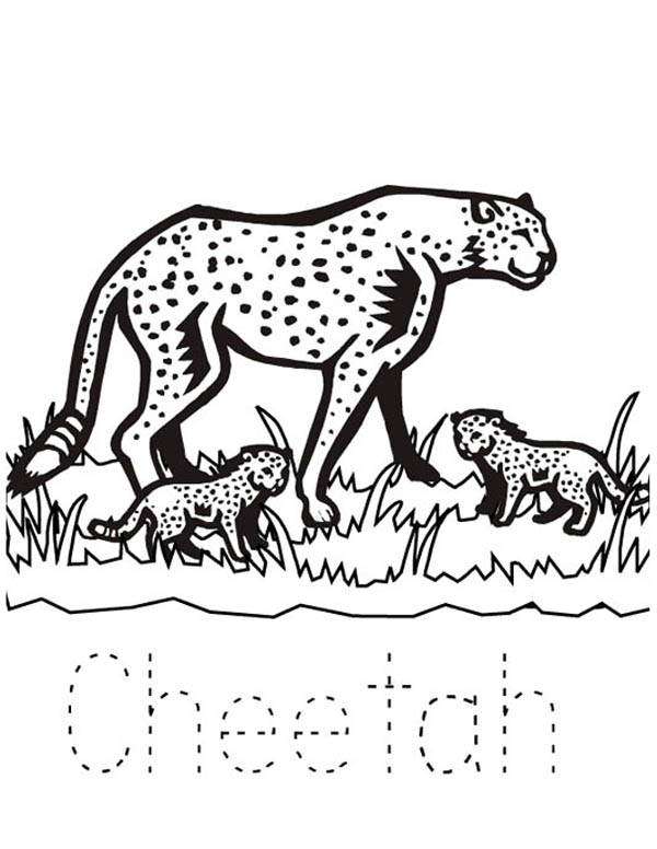 600x776 Cheetah And Her Babies Coloring Page