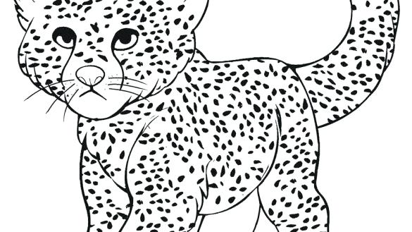 Baby Cheetah Coloring Pages at GetDrawings | Free download