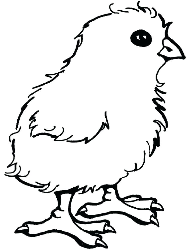 750x1000 Baby Chick Coloring Pages Free Printable Baby Chick Coloring Pages