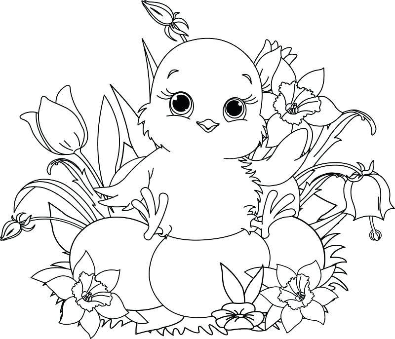 800x687 Baby Chick Coloring Pages To Print Printable Coloring Chick