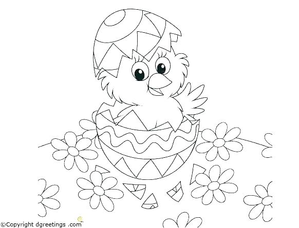582x445 Coloring Pages For Baby Chicks