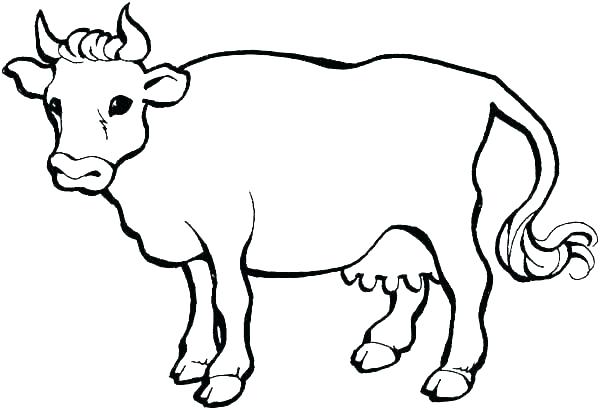 600x410 Coloring Pages Cow Free Cow Coloring Pages Printable Coloring