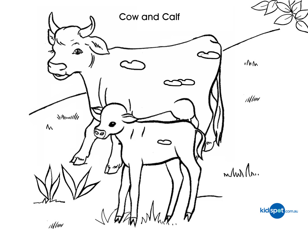 1000x750 Cow And Calf Coloring Pages