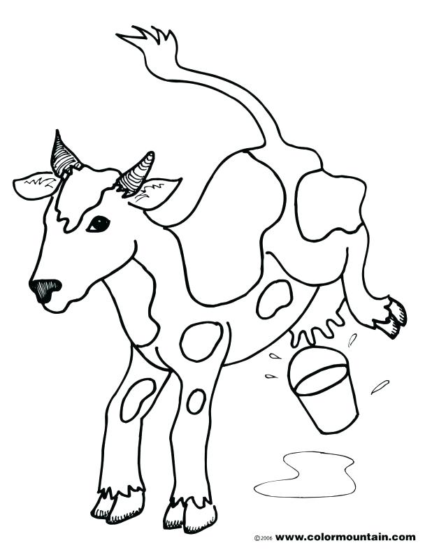 618x787 Cow Face Coloring Pages Printable Periodic Table Flash Cards Page