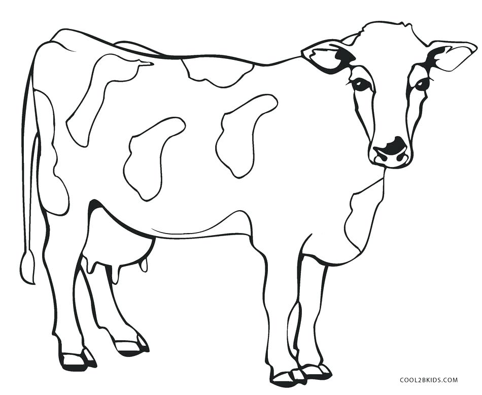 950x778 Cows Coloring Pages Cow Coloring Pages Inspirational Cow Coloring