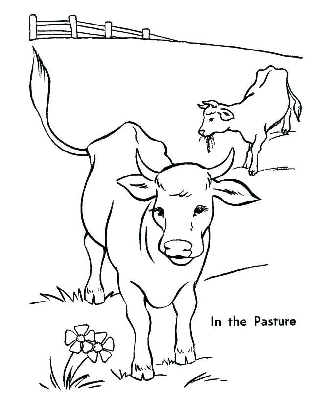 670x820 Baby Cow Coloring Pages Maternity Baby Animal Coloring Pages Free