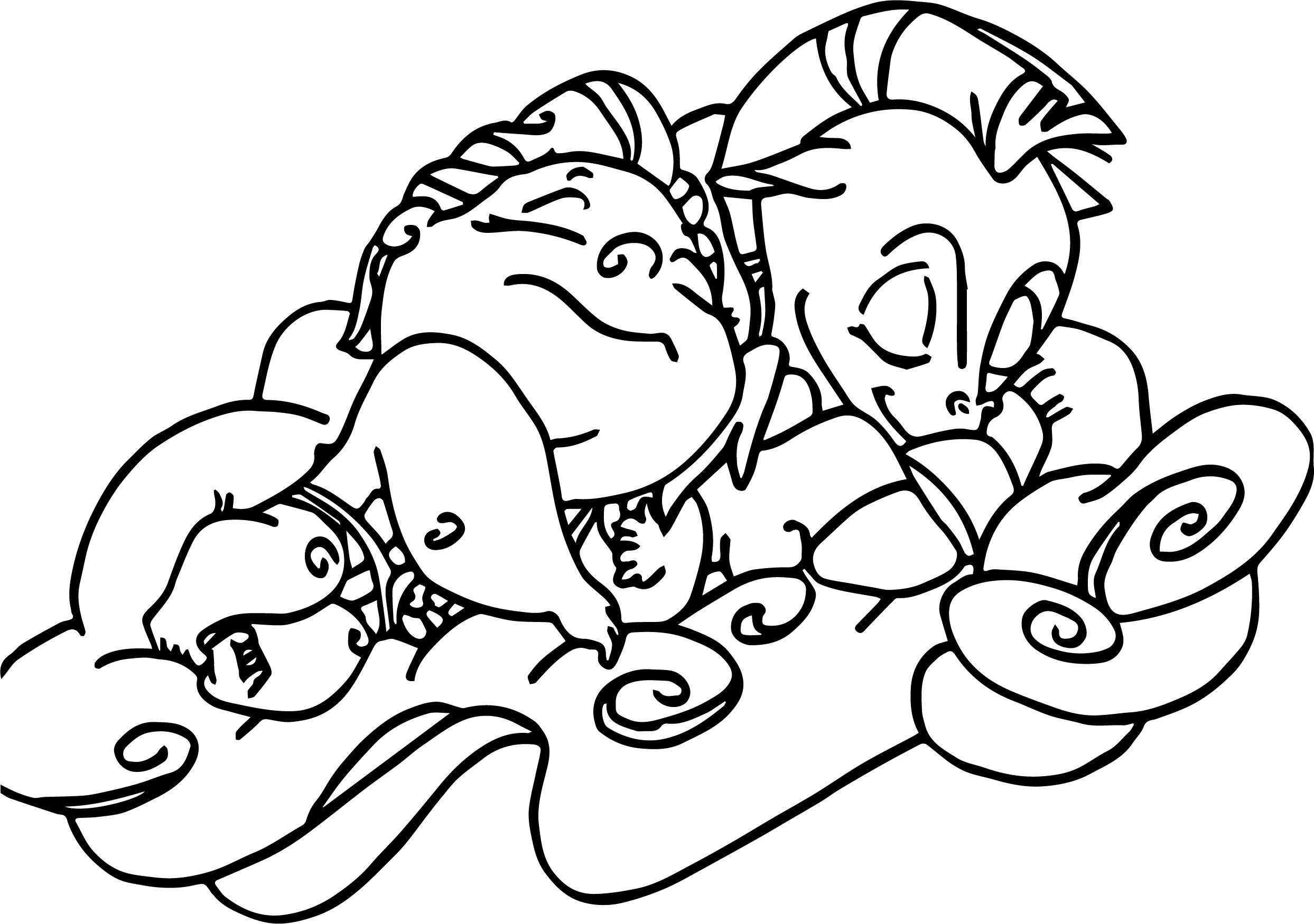 2487x1750 Baby Crocodile Coloring Pages Resume