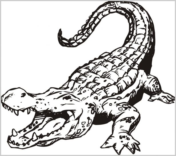 615x545 Baby Crocodile Coloring Pages Top Crocodile Coloring