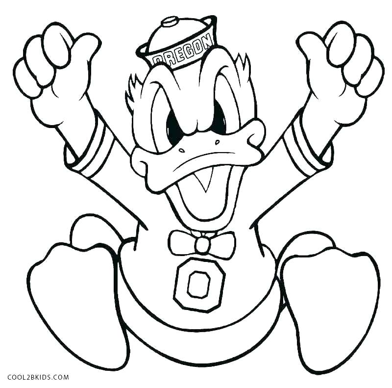 800x791 Duck Coloring Page Duck Coloring Page Daisy Duck Head Coloring