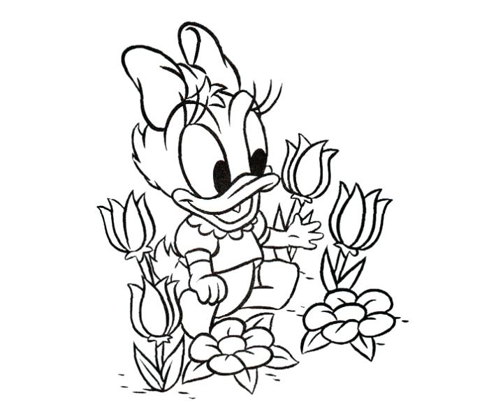 720x596 Daisy Duck Coloring Page